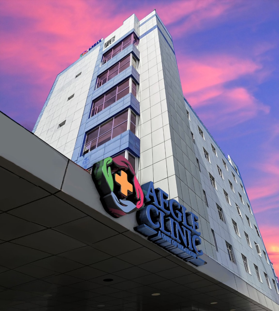 hospital image 0: Flacq-Aegle-1